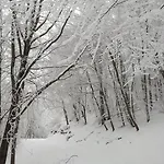 Am Eichenberg * Blankenburg