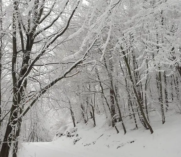 Am Eichenberg * Blankenburg (Harz)